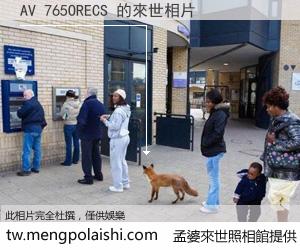 AV 765ORECS 來世的未來相片