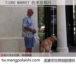 TICRO MARKET 來世的未來相片