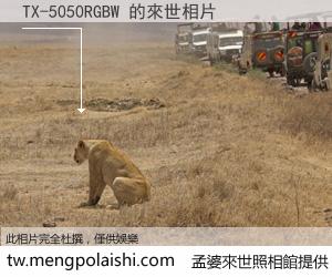 TX-5050RGBW 來世的未來相片