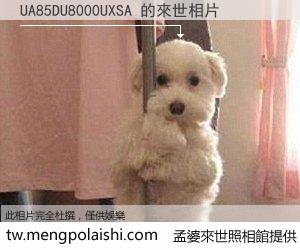 UA85DU8000UXSA 來世的未來相片