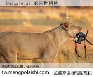 Upscale.ai 來世的未來相片