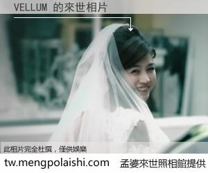 VELLUM 來世的未來相片