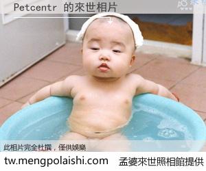 Petcentr 來世的未來相片