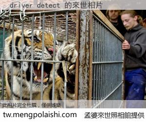 driver detect 來世的未來相片