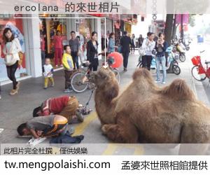 ercolana 來世的未來相片