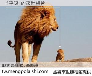 f呼吸 來世的未來相片