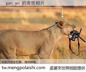 gan an 來世的未來相片