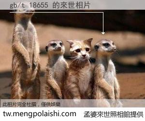 gb/t 18655 來世的未來相片