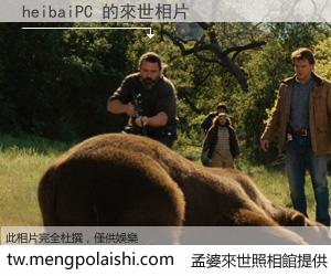 heibaiPC 來世的未來相片