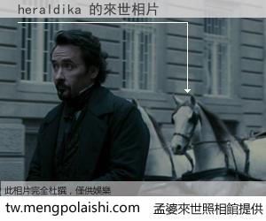 heraldika 來世的未來相片