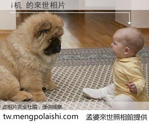 i机 來世的未來相片