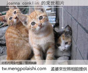 joanna conklin 來世的未來相片