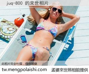 juq-800 來世的未來相片