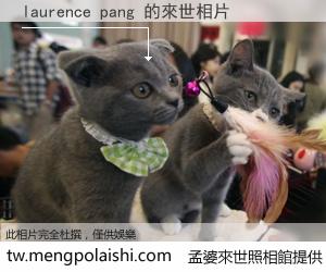 laurence pang 來世的未來相片