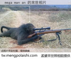 mega man an 來世的未來相片