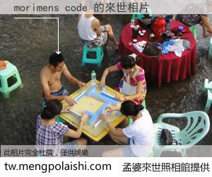 morimens code 來世的未來相片