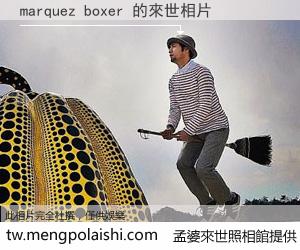 marquez boxer 來世的未來相片