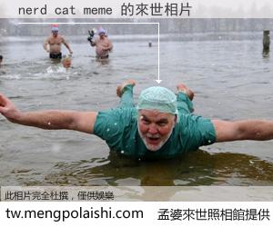 nerd cat meme 來世的未來相片