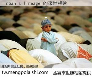 noah's lineage 來世的未來相片