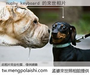 nuphy keyboard 來世的未來相片