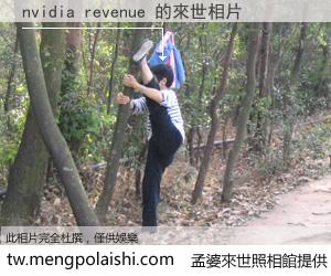 nvidia revenue 來世的未來相片