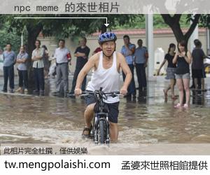 npc meme 來世的未來相片