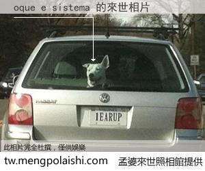 oque e sistema 來世的未來相片