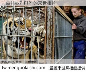 agilex7 PTP 來世的未來相片