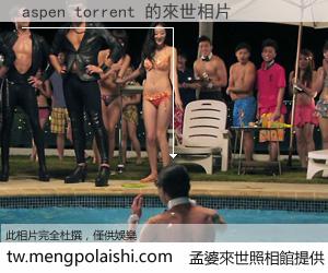 aspen torrent 來世的未來相片