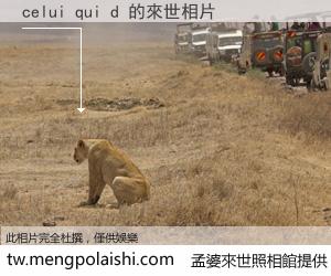 celui qui d 來世的未來相片