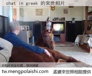 chat in greek 來世的未來相片