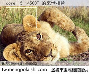 core i5 14500T 來世的未來相片