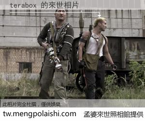 terabox 來世的未來相片