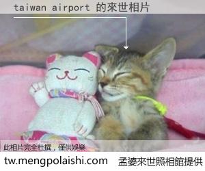 taiwan airport 來世的未來相片