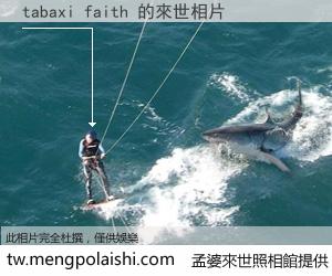 tabaxi faith 來世的未來相片