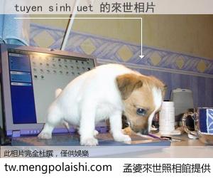 tuyen sinh uet 來世的未來相片