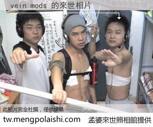 vein mods 來世的未來相片