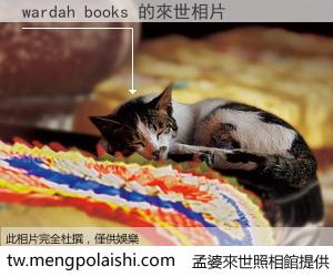 wardah books 來世的未來相片