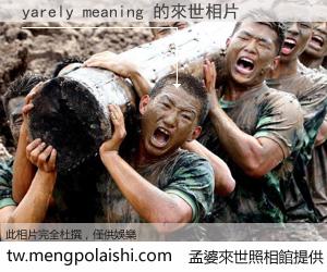 yarely meaning 來世的未來相片