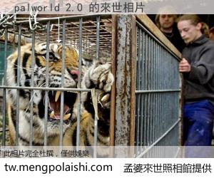 palworld 2.0 來世的未來相片