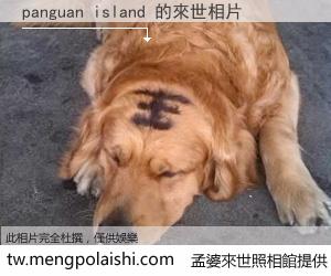 panguan island 來世的未來相片