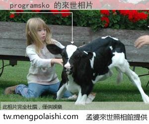 programsko 來世的未來相片