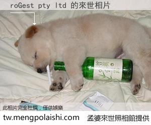 roGest pty ltd 來世的未來相片