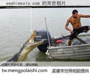 seehimsolo.com 來世的未來相片