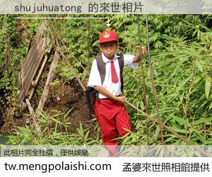 shujuhuatong 來世的未來相片