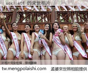 soxl etf 來世的未來相片