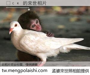 ҷск 來世的未來相片