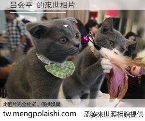 吕会平 來世的未來相片