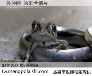 吳仲顒 來世的未來相片