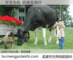 字字主机 來世的未來相片